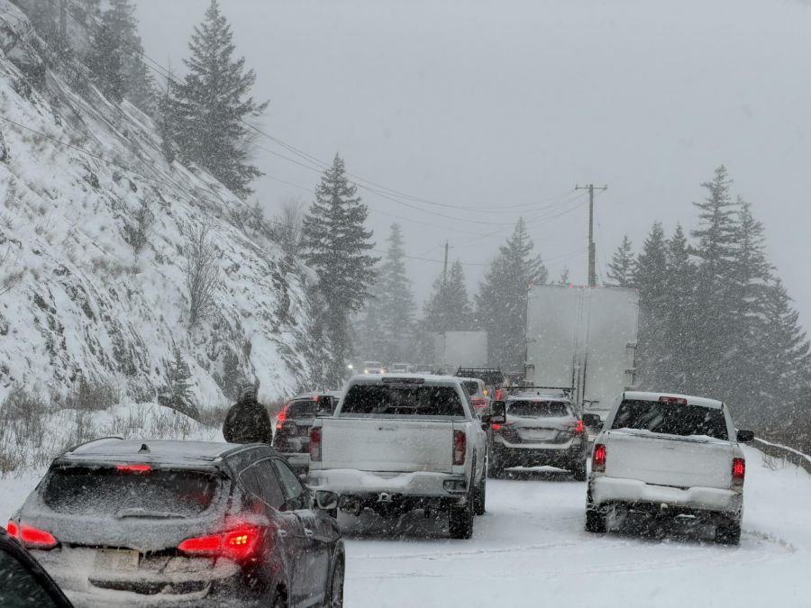 <who> Photo Credit: Vladimir Stanojevic