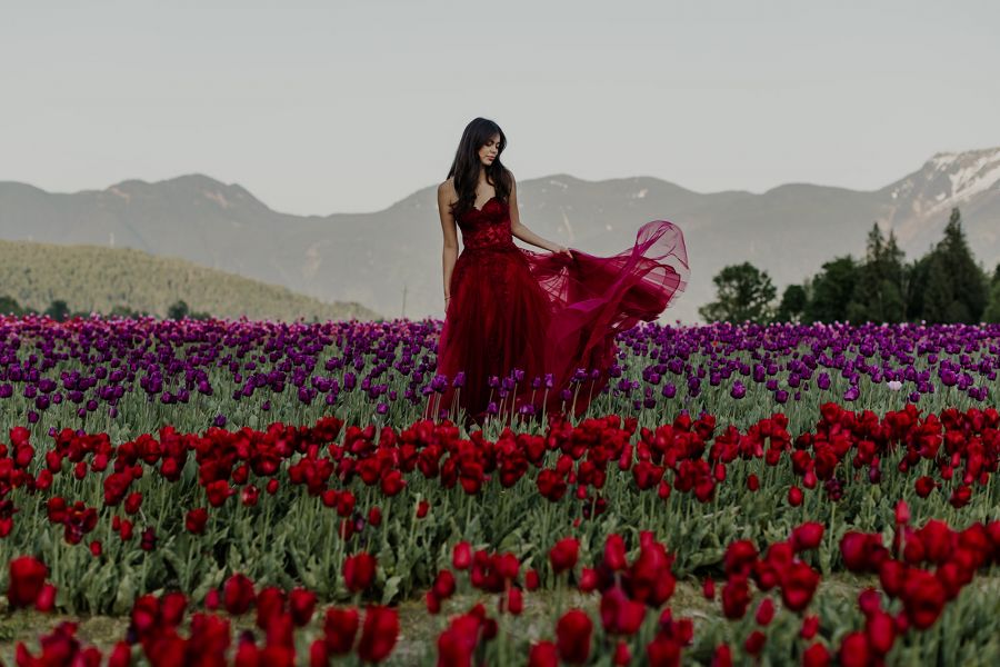 <who>Photo Credit: Harrison Tulip Festival