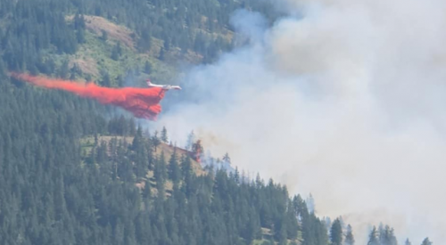 'Significantly reduced activity' being reported on Chase wildfire