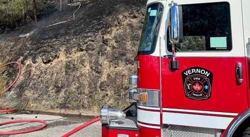 Okanagan RCMP investigating grass fire caused by illegal Canada Day fireworks