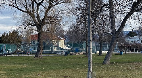 Kelowna weather: Rain all day, high of 5°C