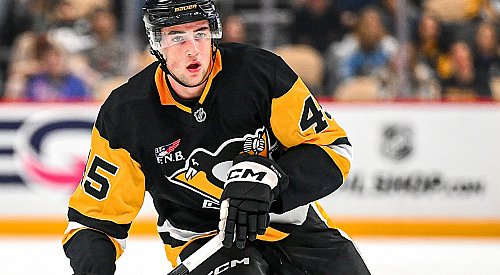 Blazers acquire 1st-round pick for Ruedig as Brunicke is returned from NHL