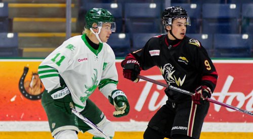 Warriors return home for game 5 on the brink of elimination after losses in Cranbrook