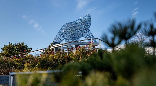 Here are the finalists for the Kelowna Chamber’s 38th annual Business Excellence Awards