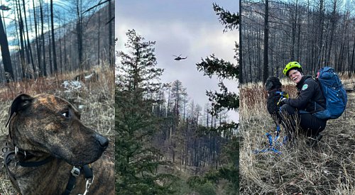 SAR members walk injured hiker’s dogs home after heli-rescue in Rose Valley