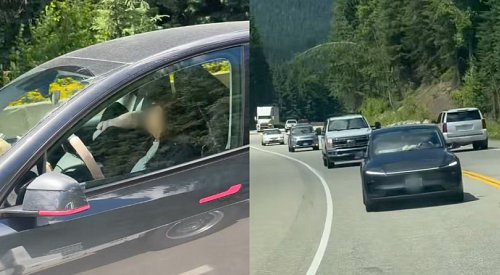 VIDEO: Police investigating footage of BC Tesla driver asleep at the wheel on Hwy 1