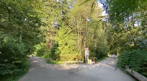 Stranger allegedly gropes woman’s chest and crotch in BC park