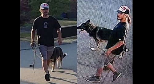 BC man, 36, charged for allegedly ‘kicking and punching’ dog in public