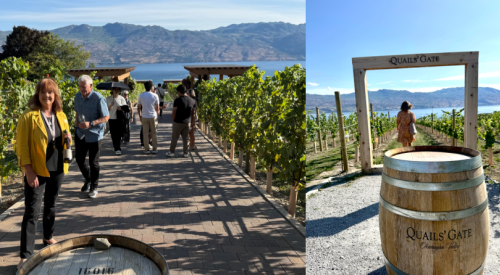 Wine column: This Okanagan winery has an 'Instagram Alley'